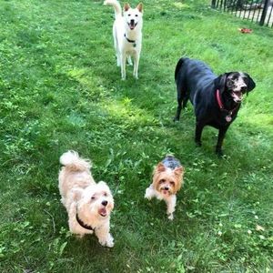 Meet your Posher, Julia